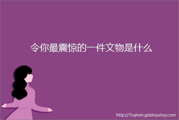 令你最震惊的一件文物是什么