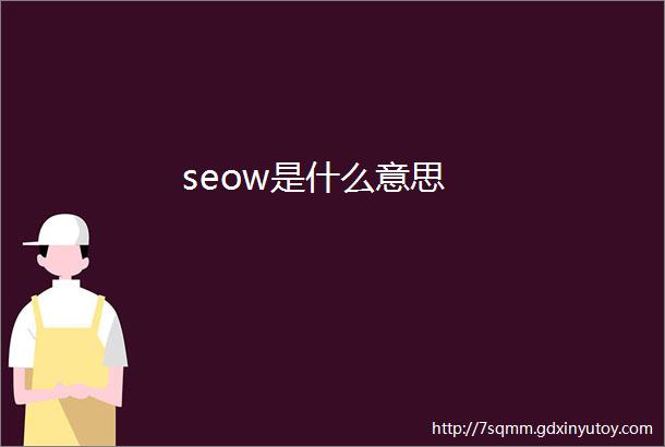 seow是什么意思